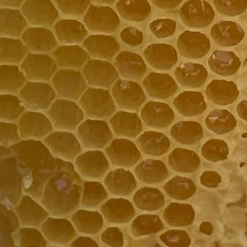 Buy Local Honey - Save A Hive!