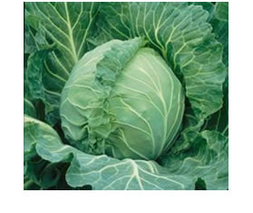 veggie cart cabbage