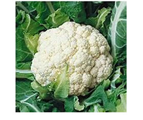 veggie cart cauliflower